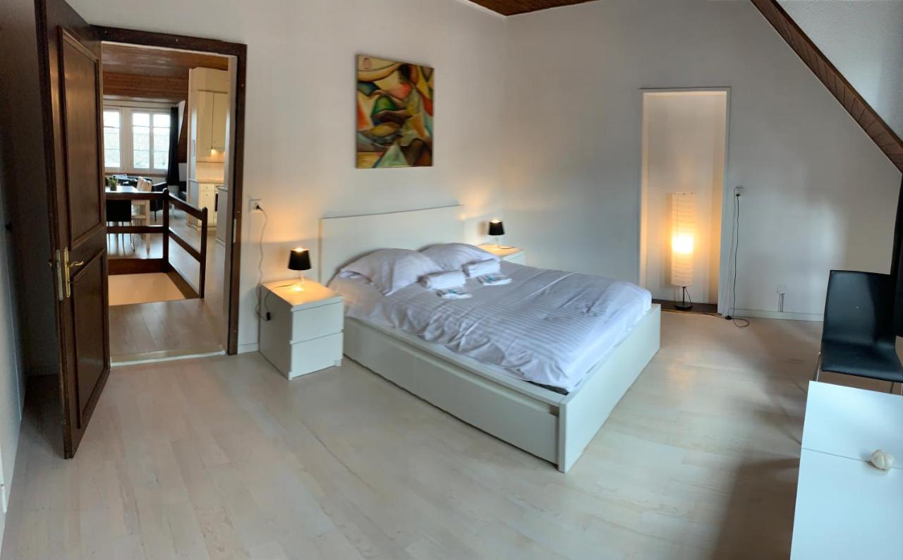 Luxury Duplex Vue Chateau Neuchatel Ngoại thất bức ảnh